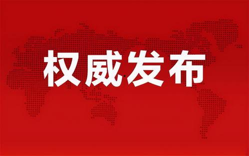 新湖总场爆料最新消息新闻,最新消息震撼来袭！