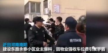 南阳观察员爆料事件视频,视频曝光惊人内幕