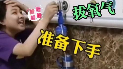 熊孩子爆料视频搞笑段子,笑料百出，揭秘童言无忌的欢乐世界