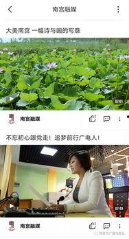 南宫一中爆料事件视频最新,真相揭开，校园风波再起